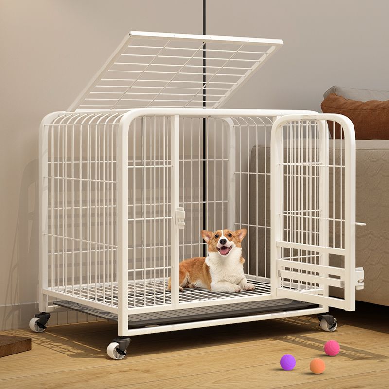 狗笼子小型犬宠物狗笼泰迪柴犬柯基比熊法斗犬带厕所中型犬狗笼子