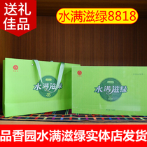 Hainan Green Tea Five fingers Mountain Water Manxiang Fragrant Garden Water Full Nourishing Green 8818 Special Level Ming Former Tea Escort Gift Box 2022