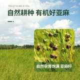 长白工坊 Натуральное масло семян, растительное масло, 135 мл