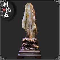Tree Jade rough stone ornaments ice species wood fossils silicified wood living room office decoration ornaments natural rough stone 563