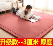 Cushion rural Kang velvet bedroom living room carpet window mat bedside blanket childrens room baby crawling mat