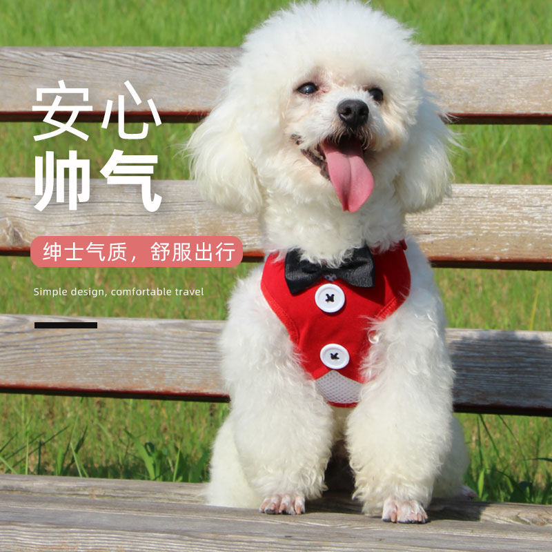 Small dog traction rope small dog walking dog rope vest chest hug baby bag teddy bichon pomeranian schnauzer dog chain