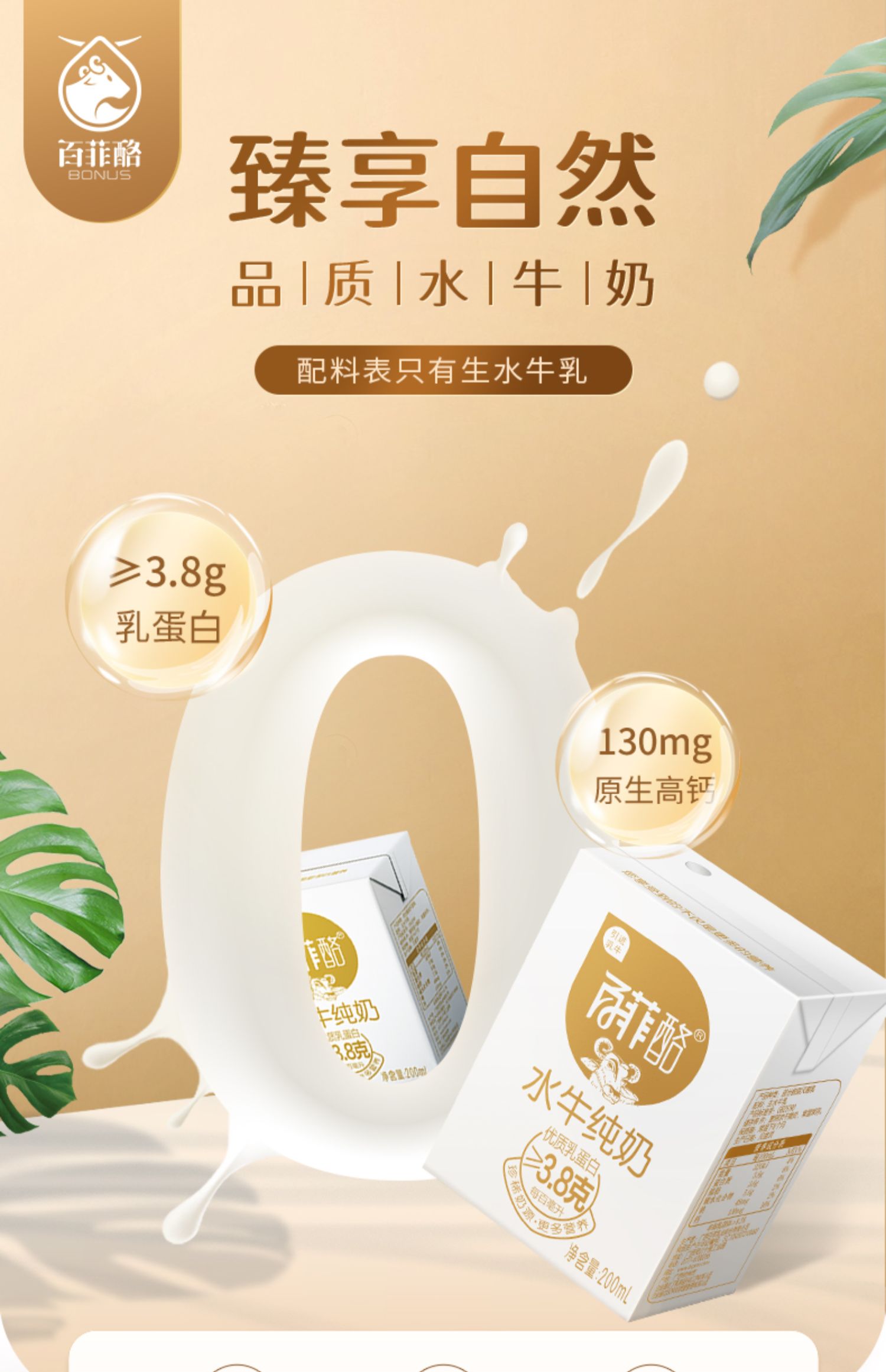【百菲酪】高钙营养水牛纯奶20盒