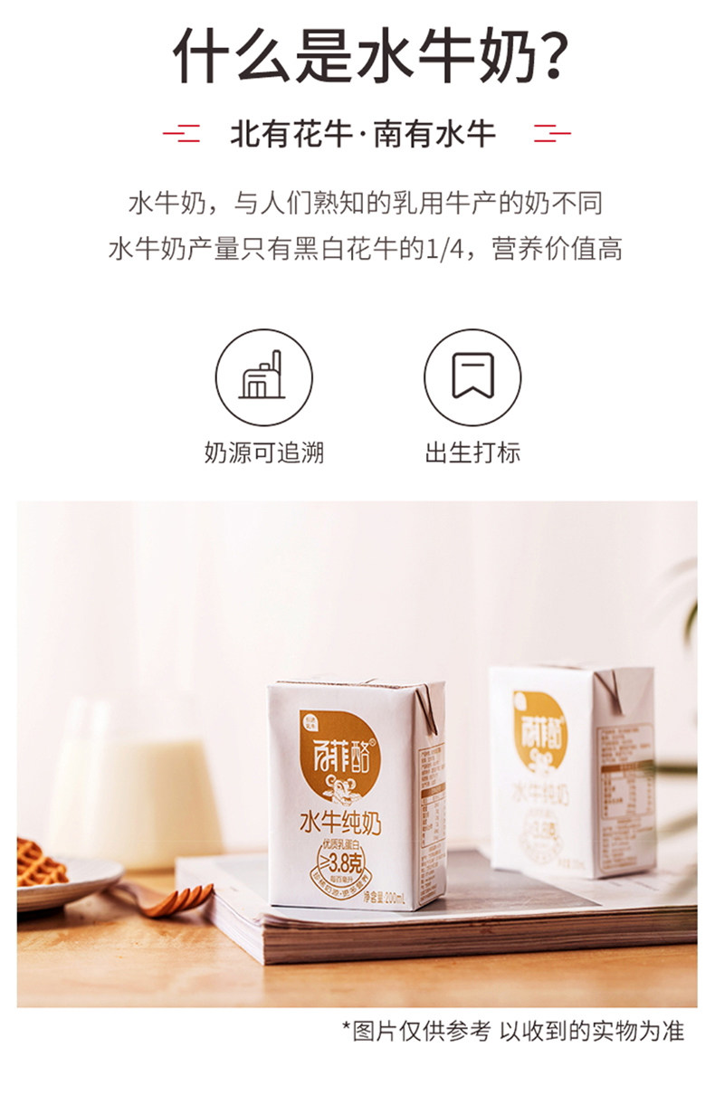 百菲酪水牛純奶