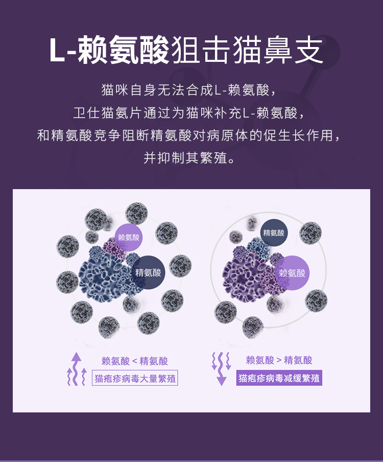 Xỉ chiên xào anh em Wei Shi mèo ammonia viên mèo amine mèo mũi mèo ammonia điều hòa mèo hắt nước mắt 200 viên - Cat / Dog Health bổ sung sữa cho chó phốc sóc