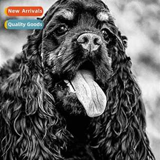 Cross Stch New DIY Black Puppy Full Stch Simple Hmade Thread