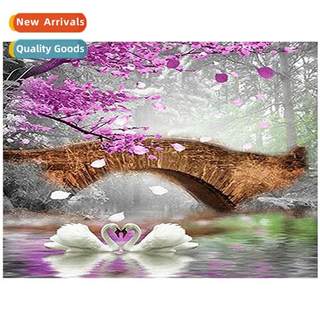 The new wedding heart to heart diamd painting full  diamd sw