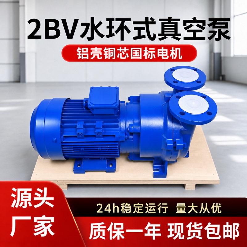 2Bv Water Ring Vacuum Pump High Efficiency Low Energy Consumption Pure Aluminum Shell Copper Wire Motor Vacuum Pumping Pump Compressor
