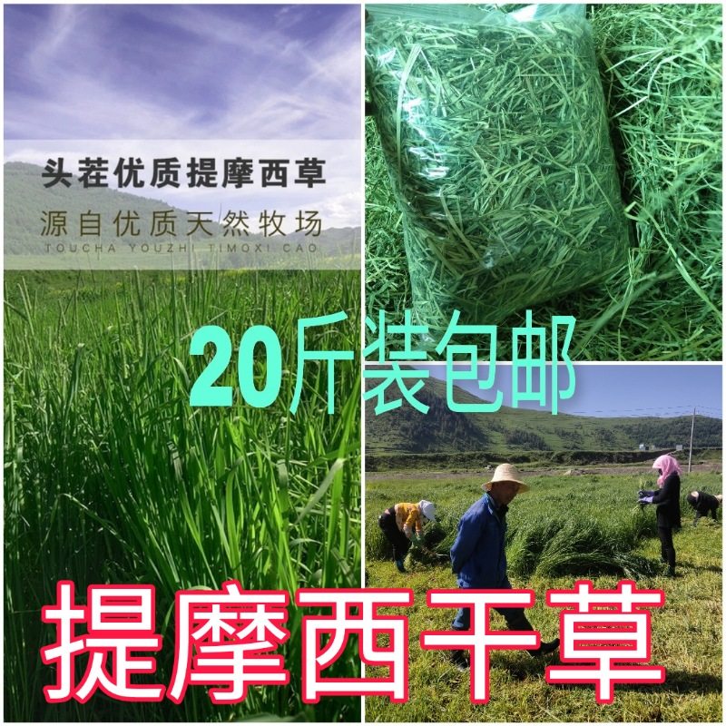 Mention Moshe Grass Sunburn Grass Primary Rabbit Grain Holland Pig Grandeo Guinea Hay 20 Catty Large Packing Ti Moshe Grass