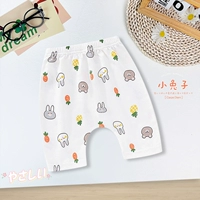 2340 Bear Rabbit Paradise 【Летняя тонкая модель】