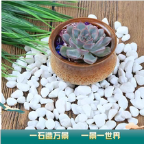 Henan landscaping white stone courtyard paving white pebbles paving balcony decoration small stone garden landscape