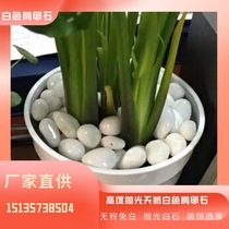 Shanghai white stone natural stone cobblestone succulent paving stone potted flower pot courtyard fish tank landscaping
