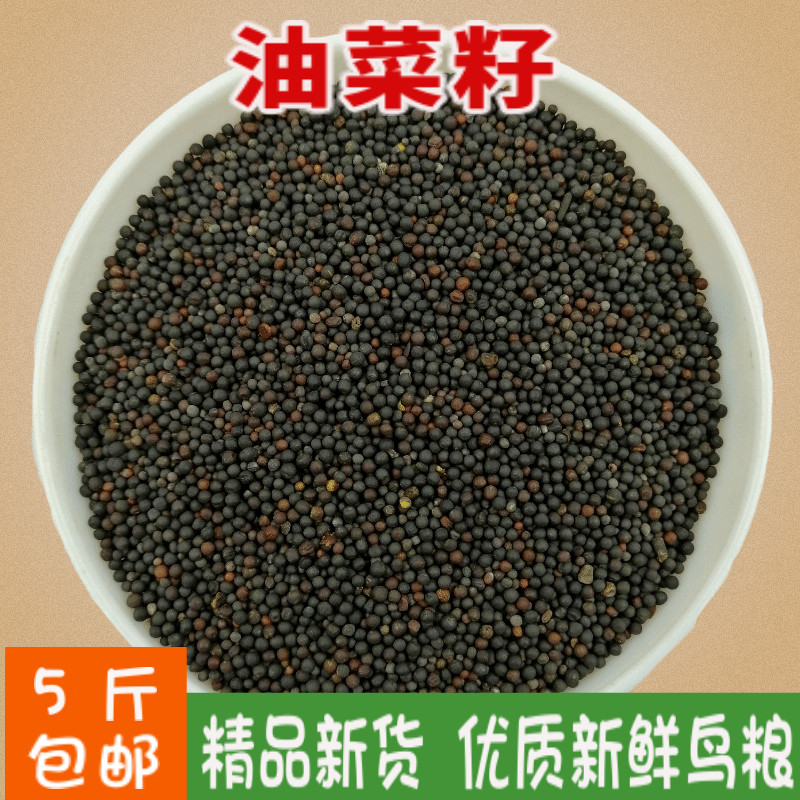 5 catties of rapeseed parrot feed bird food bird food pigeon food Xuanfeng tiger skin peony little sun monk food