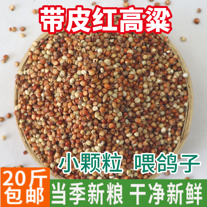 20 catties of red sorghum to feed pigeon grain shelled and skinned bird food carrier pigeon ornamental pigeon meat pigeon young pigeon adult pigeon food feed