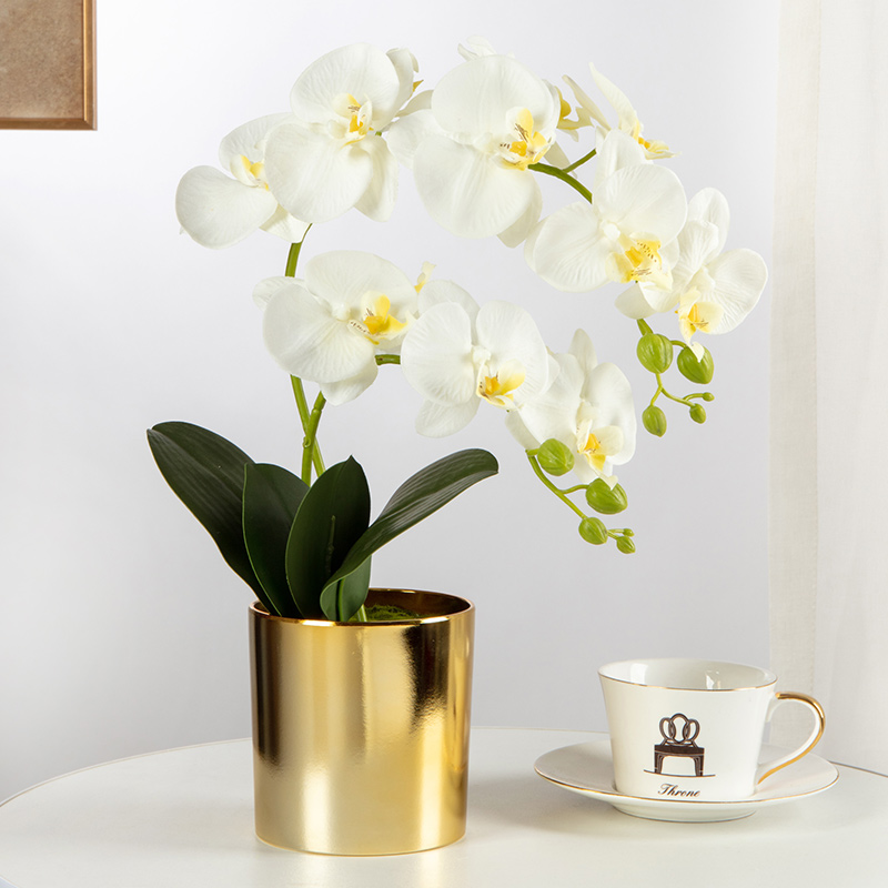 Rear Elegant Upscale Hand Feel Butterfly Lan Emulation Floral Art Pendulum Pieces Living Room Tea Table Furnishing Decoration Fake Flowers Potted Plants