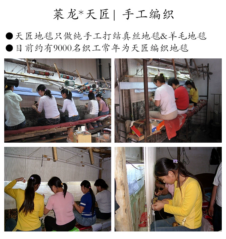 Lailong * tianjiang lụa thủ công Ba tư thảm nhà máy hoa phòng khách lối vào phòng khách thảm nghiên cứu thảm lãng mạn - Thảm