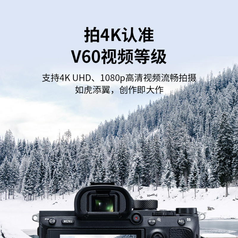 Карта памяти Lexar Professional 1667x SD UHS-II 256GB