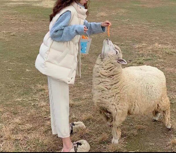 2021 Autumn Winter New Lady Outwear Trendy Fashion Down Vest Cotton Waistcoat Winter Jacket Net Red Waistcoat