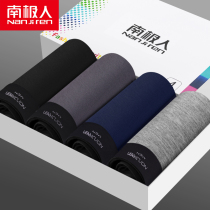 Antarctic man mens underwear Mens boxer shorts pure cotton breathable scrotum holder large size pants pants boys flat angle underwear