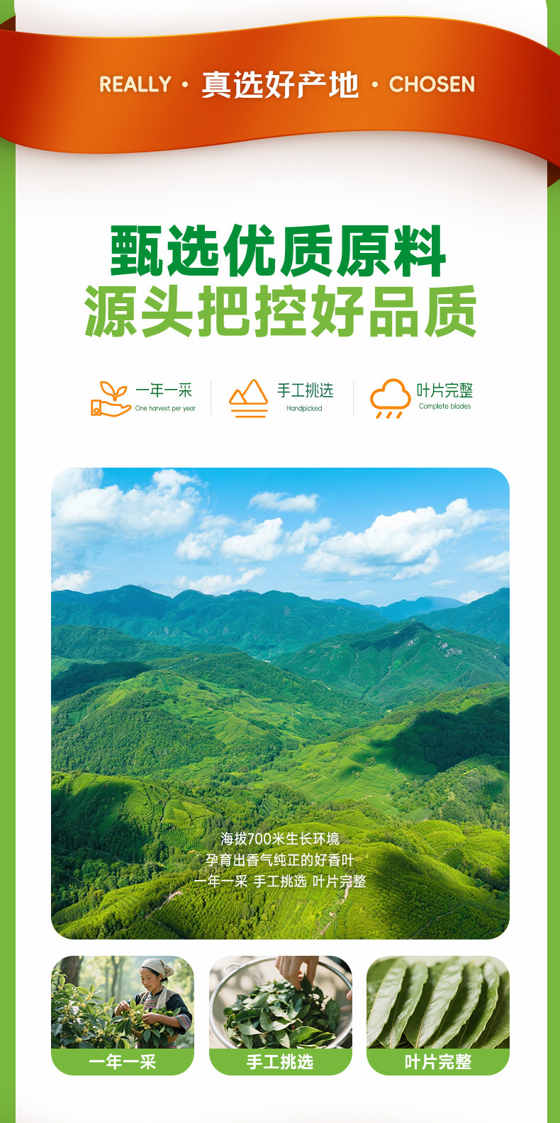安享好物 安享S级香叶-华海顺达香叶 国标 