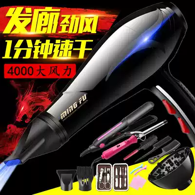 Hair salon hair dryer high power 5000 negative ion household wind blowing tube silent mute comb pet hair care