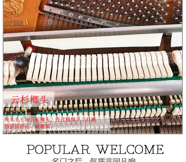 Đàn piano đã qua sử dụng 90% mới được sử dụng Hàn Quốc nhập khẩu đàn piano cũ Sanyi sc-300nst dọc cao cấp - dương cầm 	đàn piano màu trắng