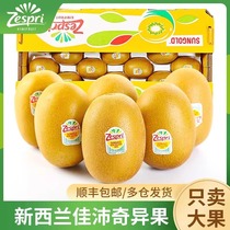 Zespri Golden Fruit nouvelle-zélande importé kiwi fruit morceau entier fruit frais original Shuangfu SF Express