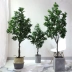 Cây cải xoong cây mô phỏng chậu cải xoong xanh bonsai phòng khách lớn sàn cây xanh trang trí hoa nhựa - Hoa nhân tạo / Cây / Trái cây