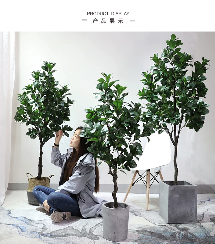 Cây cải xoong cây mô phỏng chậu cải xoong xanh bonsai phòng khách lớn sàn cây xanh trang trí hoa nhựa - Hoa nhân tạo / Cây / Trái cây