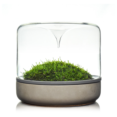 Shunfeng Shipper Geonature Momo-M Geometric Nature Medium Moss Micro Landscape Bottle Cement Bottom