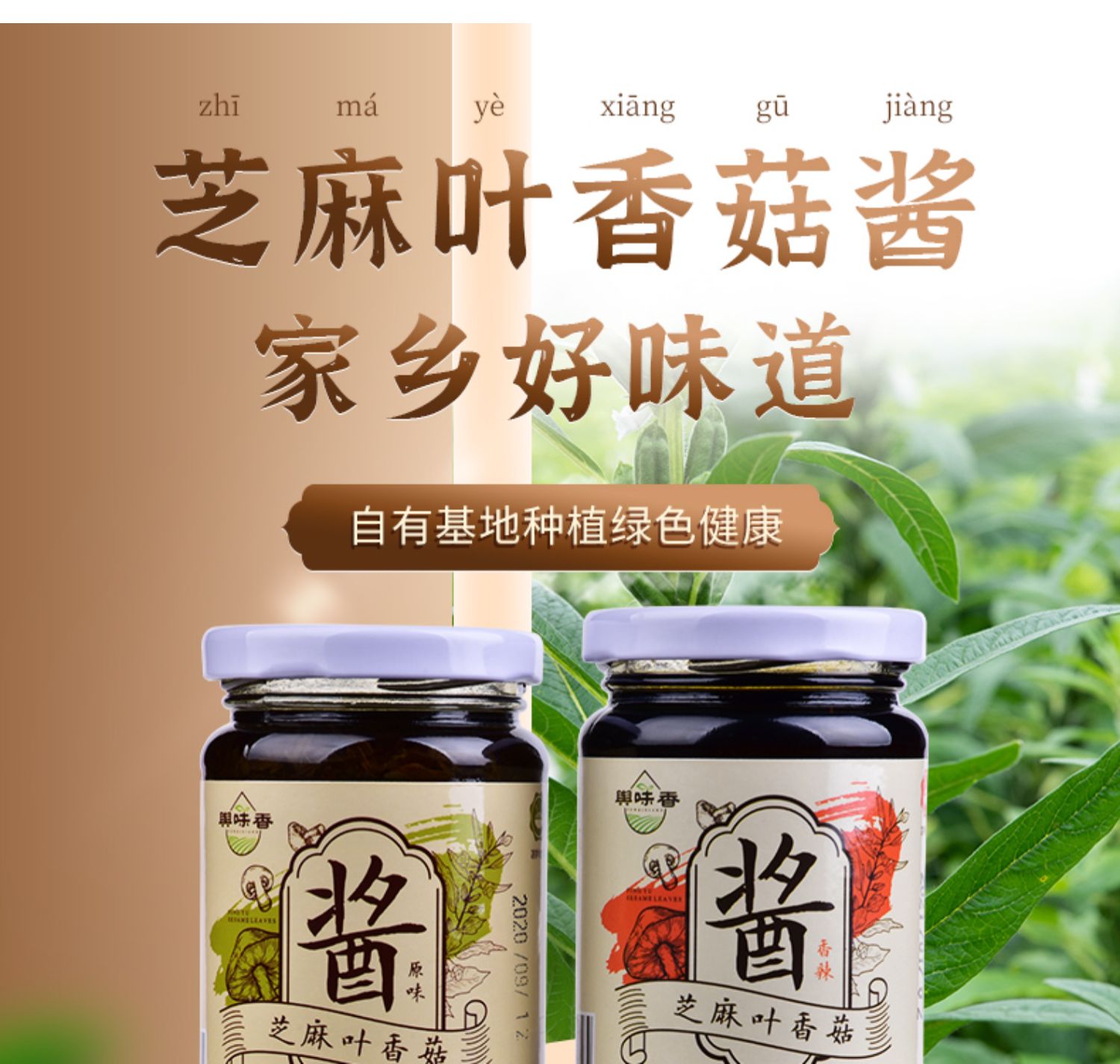 【开胃可口！】芝麻叶香菇酱200g