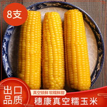 Suikang corn glutinous rice vacuum lock fresh breakfast Whole grain non-GMO yellow glutinous 8 sticks fat reduction meal ready-to-eat