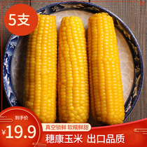 Suikang corn waxy corn Fresh freshly picked export products Sticky corn non-GMO yellow waxy 5 sticks