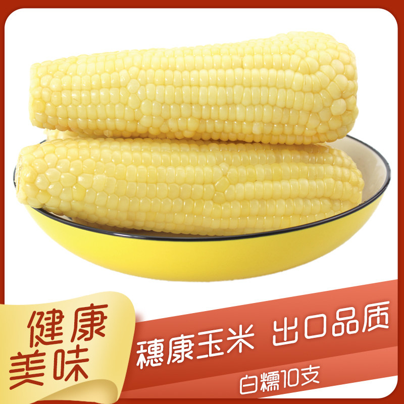 Suikang Hebei Zhangjiakou corn waxy corn vacuum fresh freshly picked stick sticky corn non-GMO white waxy 10 sticks