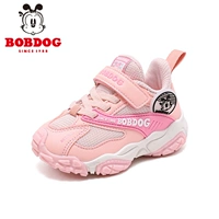 13121 фруктовый порошок/порошок розового порошка и поверхность осеннего фонда