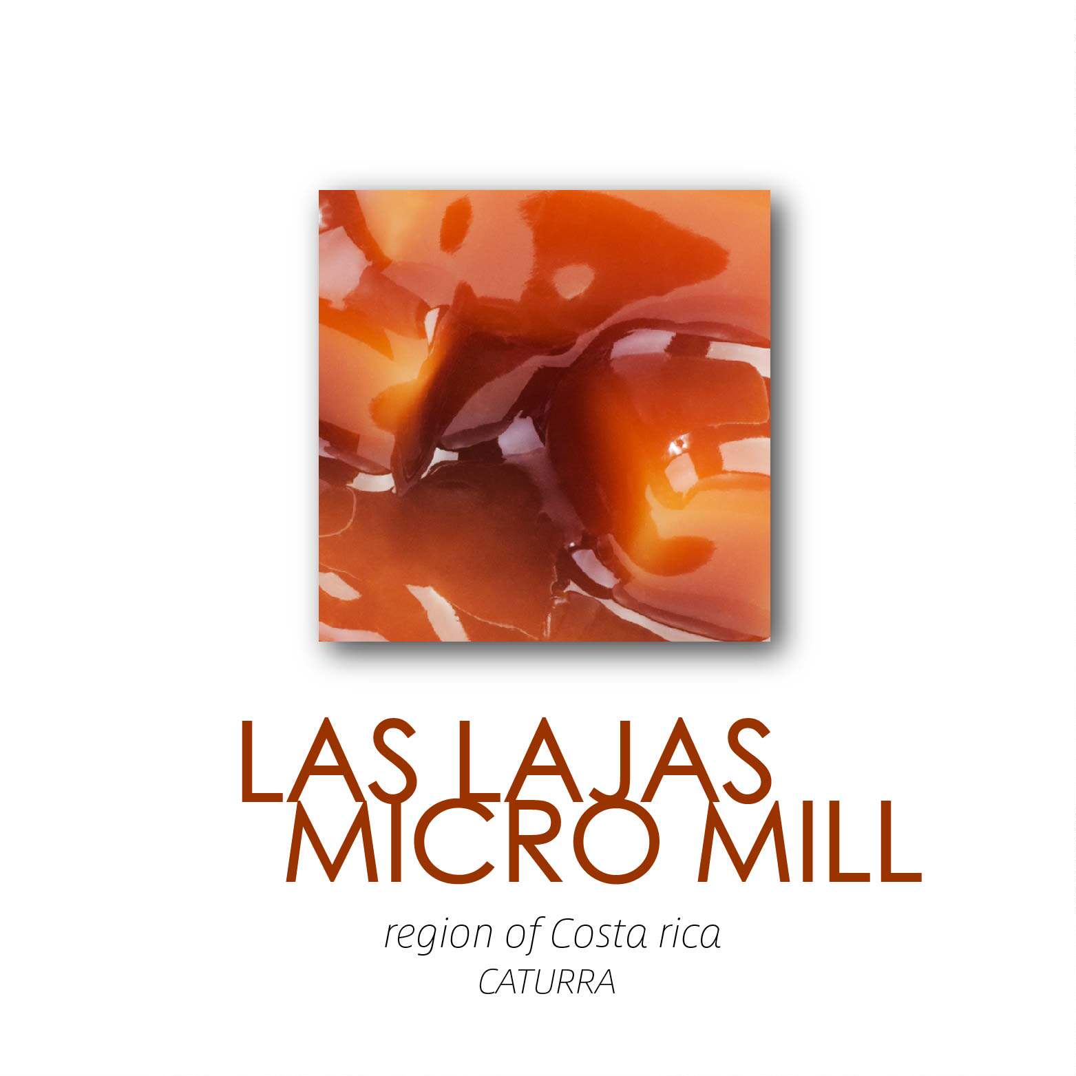 XYZ Costa Rica Handpunch Boutique Coffee Las Lajas Estate Black Soul Baking 100g-Taobao