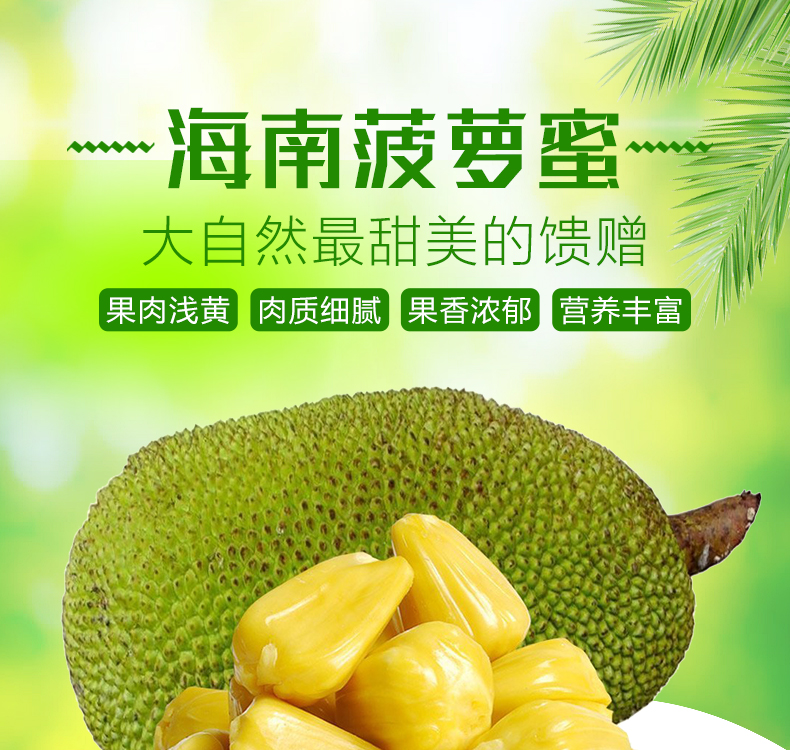 海南三亚 菠萝蜜 17-25斤 果园现摘现发 图1