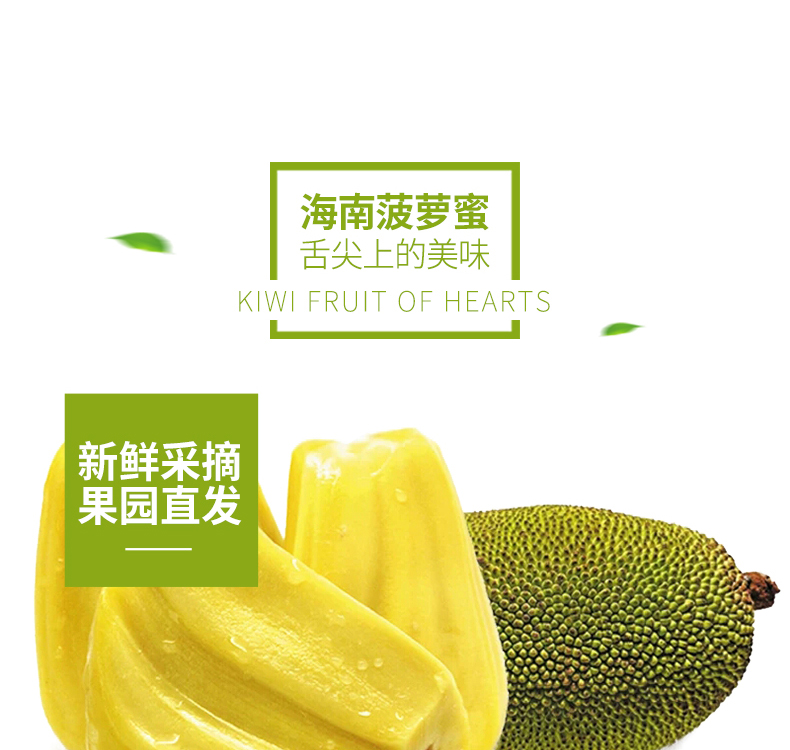 海南三亚 菠萝蜜 17-25斤 果园现摘现发 图6