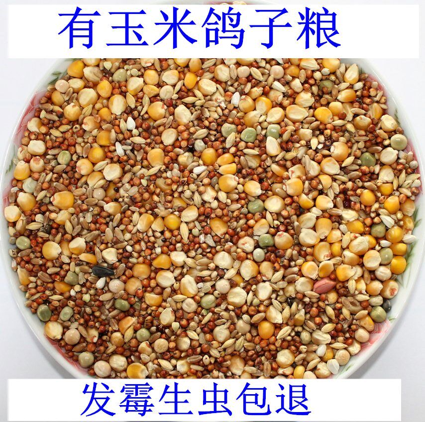 10 catties of corn-based pigeon food nutrition feed bird food carrier pigeon ornamental pigeon meat pigeon racing pigeon food pigeon food