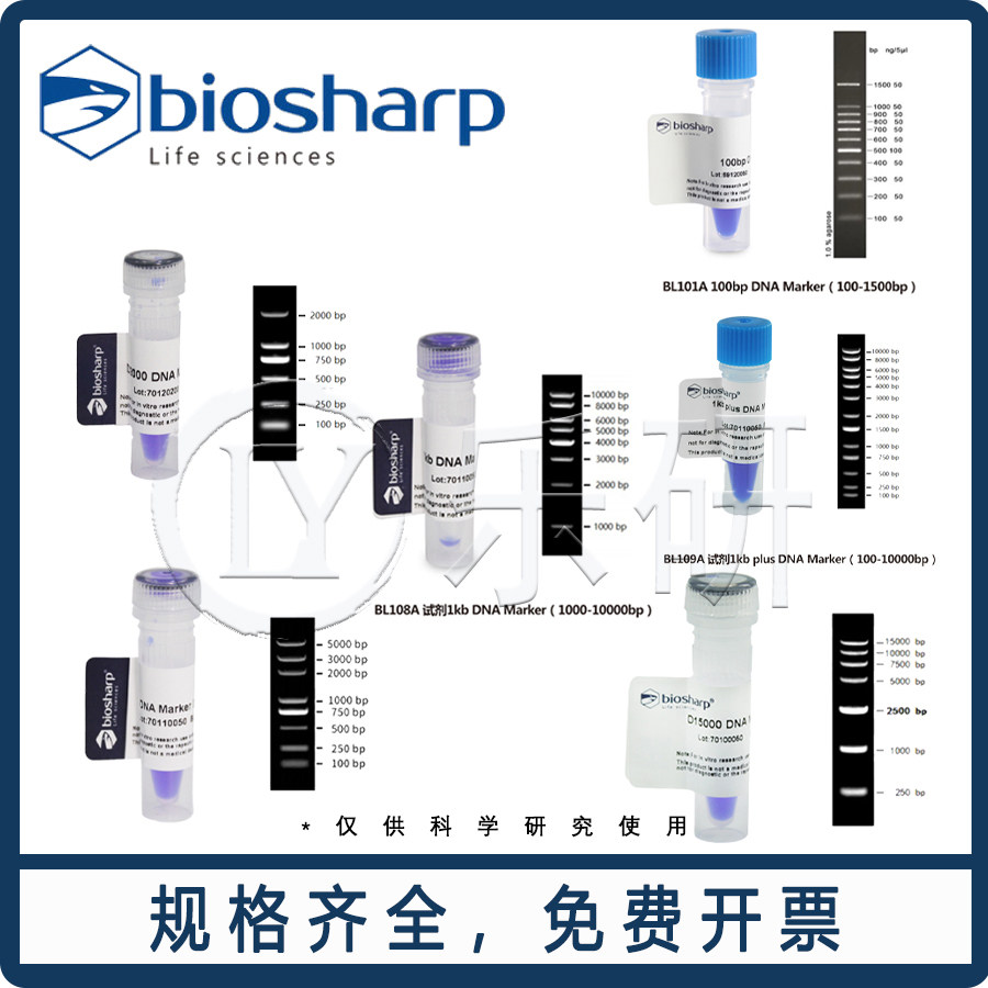 琼脂糖凝胶电泳DNA Marker 100-1500bp生物试剂 Biosharp品牌