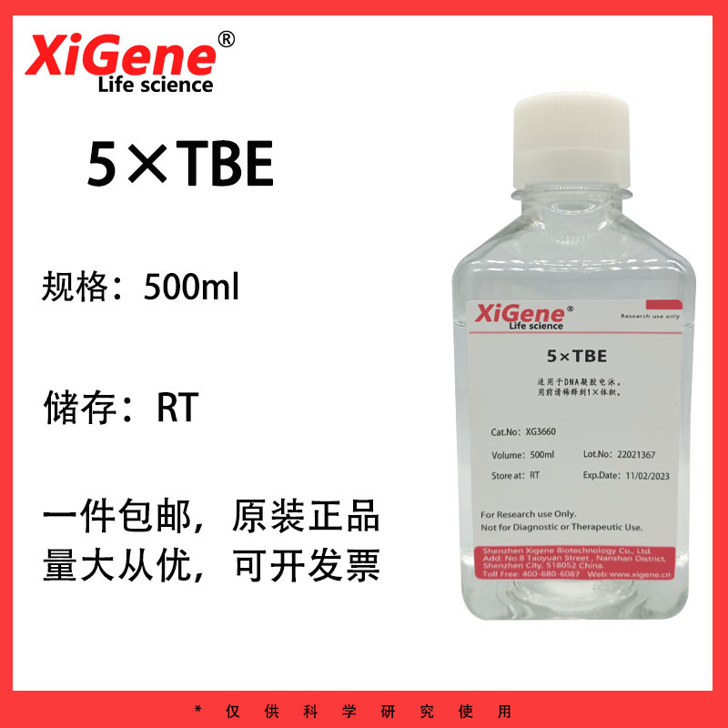 XiGene 5&times;TBE 核酸电泳缓冲盐溶液琼脂糖凝胶电泳TBE buffer