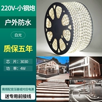 100 метров [маленькая стальная пушка 220 В, белый свет] 10 разъемов в комплекте