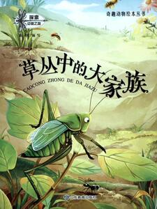 正版 草丛中的大家族 陈奇写 书 动漫与绘本书籍