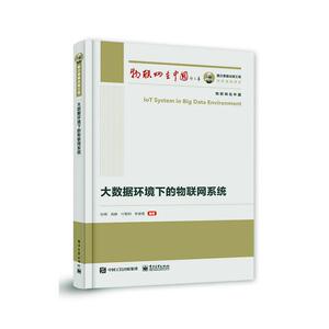 正版大数据环境下的物联网系统 9787121401664 者_张晖高静付根利李建慧责_张 电子工业出版社 计算机与网络 书籍