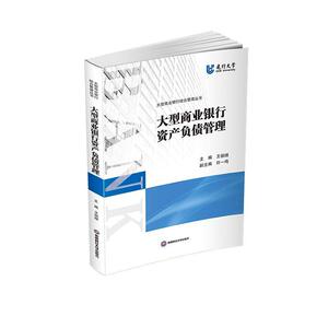 正版 大型商业银行资产负债管理 王祖继 书店 经济书籍