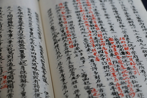 脂砚斋重评石头记庚辰本 曹雪芹撰 红楼梦脂砚斋甲戌本校本庚辰本庚辰校本 文学评论与研究书籍人民文学出版社 国图书店正版现货