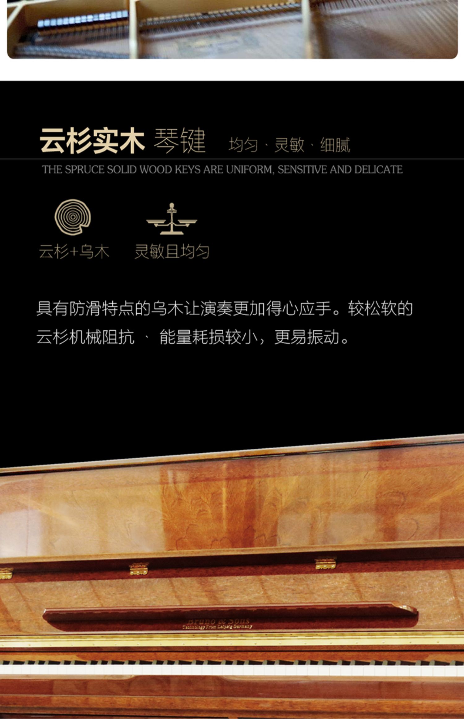 Các nghệ sĩ piano dọc mới Bruno Đức nhập khẩu GT650 ban đầu với thương hiệu chuyên nghiệp mới bắt đầu trưởng thành - dương cầm visual piano