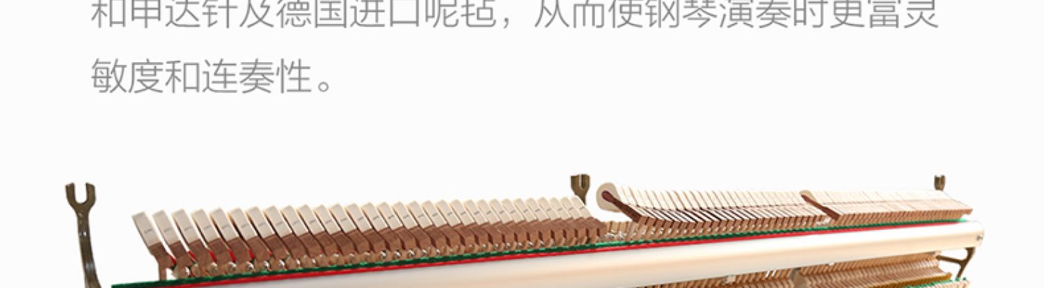Các nghệ sĩ piano dọc mới Bruno Đức nhập khẩu GT650 ban đầu với thương hiệu chuyên nghiệp mới bắt đầu trưởng thành - dương cầm visual piano