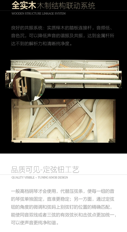 Đức Bruno thương hiệu đàn piano mới thẳng đứng nhà người lớn mới bắt đầu thương hiệu nhập khẩu cấp chuyên nghiệp GT750 - dương cầm