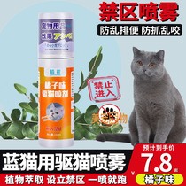 British short blue cat special repellent cat repellent orange scent spray to repel cats to prevent peeing in bed cat restricted area spray